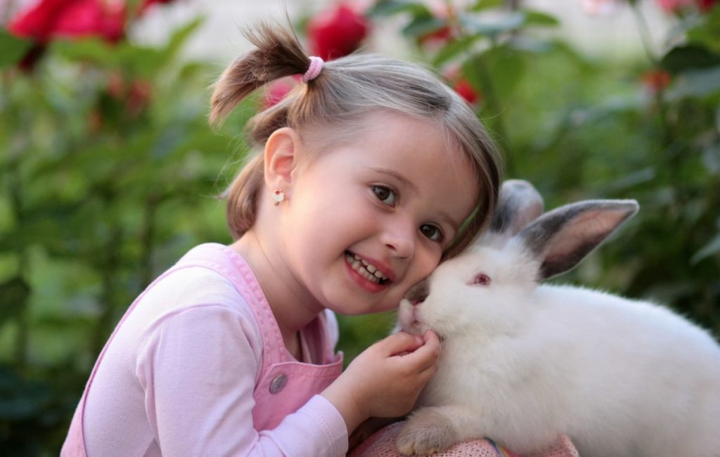 Cuidado dental niños champel